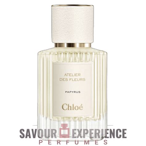 chloe papyrus|papyrus by chloe.